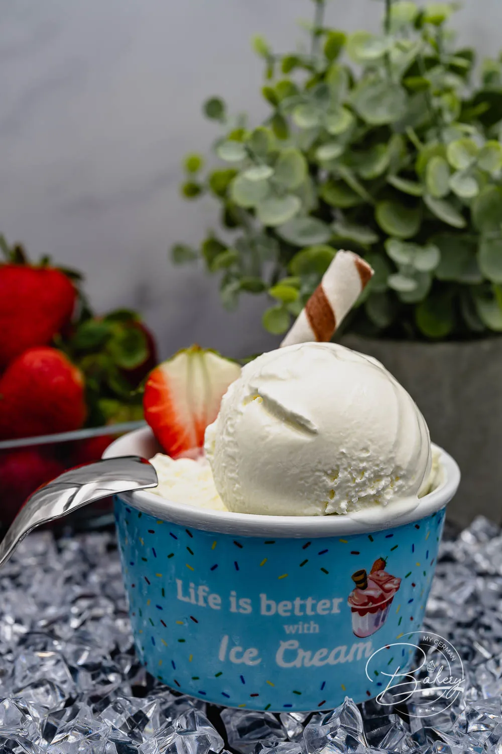 Leckeres Joghurt Eis Rezept schnell und einfach selber machen mit einfachen Zutaten und einer Eismaschine kann das Joghurteis cremig werden.