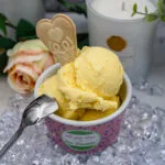 Anleitung für unser leckeres Pfirsich-Joghurt Eis Rezept, das extra fruchtig und cremig ist, mit einfachen Zutaten selbst gemacht wird. Pfirsiche Obst